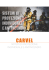 carvel - Vl Antinfortunistica