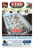 - ilFatto.net