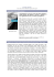 Télécharger la page en PDF