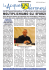 3,1 Mb - Acque Veronesi