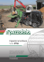Catalogo - Pezzolato