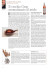 da pag. 18 a pag. 25