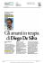 Il Gazzettino - Rovigoracconta