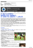 Numero 15 - 3 luglio 2012