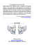 copyright® sego license - the