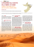 capodanno nel deserto dell`oman e di dubai