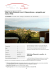 Villa Porto Rotondo in vendita