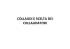 COLLAUDI E SCELTA DEI COLLAUDATORI
