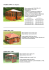 GAZEBO SUPRA serie Elegance Misure esterne