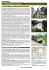 Estensioni Etiopia 14-new