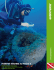 capo caccia - Greenpeace