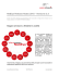 NetEye Release Notes 2015 - Versione 3.5