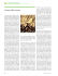 Scarica questo file PDF