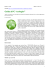 Guida al PC ecologico