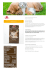 PRIMIA MULTI CROCCHETTE PER CANI MANZO 10 kg