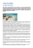 Eco Resort The Brando