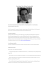 Curriculum Vitae Alfonso Gambardella