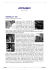 scarica quest`articolo in formato pdf