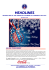 Dicembre 2012 - American Chamber Of Commerce in Italy