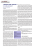 Numero Mongrafico 1 - Letteratura migrante