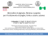 Scarica il PDF (Italiano)