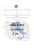 Ministero del lavoro,della salute e delle politiche sociali
