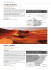 La Magia del Deserto Incenso e Deserto