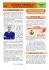L`Editoriale del Sindaco 29 Novembre 2015 Elezioni dei Comitati di