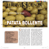 Inserto di Biolcalenda