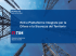 report - Cesma