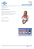 cura del bebe` latino-americana