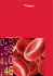 BB Biotech