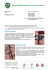 N° 27 del 11/02/2015