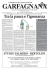 giornale-garfagnana-83:Layout 1.qxd