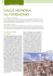 Dalla memoria al patrimonio