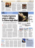 Scarica l`articolo