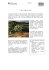 Area Ambiente - ARS Progetti