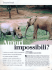 Tentazioni bestiali - Rhino Resource Center