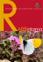 Documento (File "Rabbinforma-2013