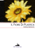 Il Fiore di Plastica