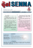 QUI_SENNA_dic_2010_stampa_Layout 1