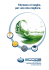- Ecode Srl