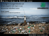 Presentazione standard di PowerPoint
