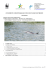 Report cetacei 2013 - Riserva Marina di Miramare