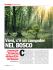 nel bosco