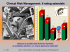 Presentazione di PowerPoint