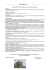 Politica PEFC - Sapem - sacchetti di carta stampata e imballaggi di