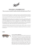 0.15 MB - Luxottica