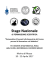 Stage Nazionale di formazione scientifica