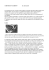Alcune pagine di "Scrittrici in giardino"